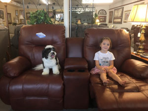 reclining loveseat