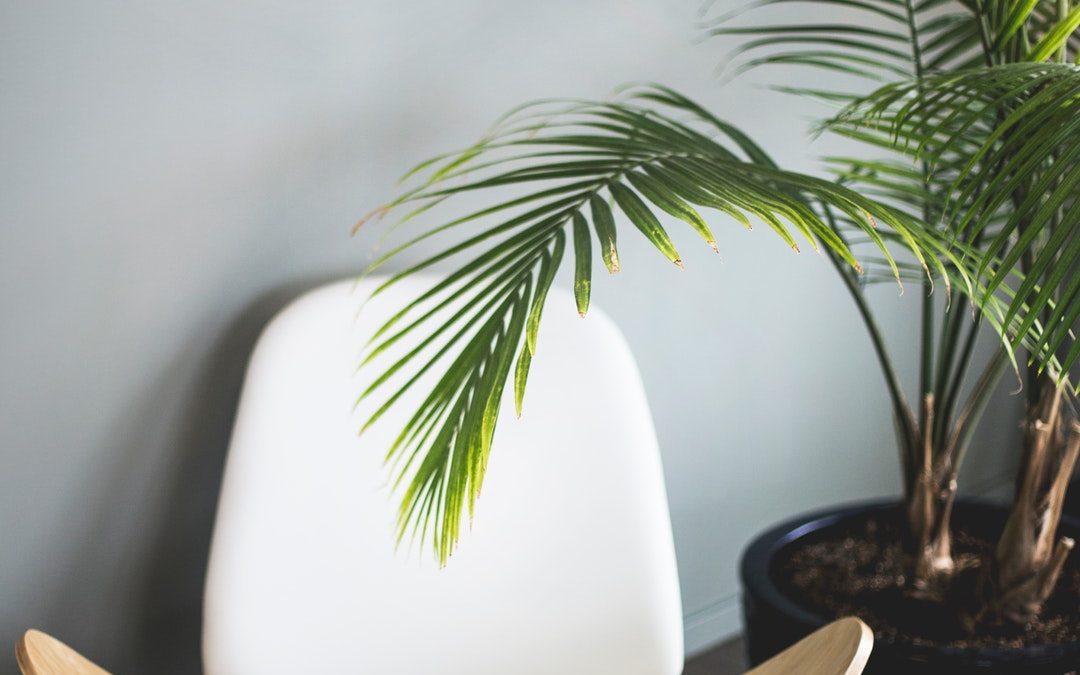 The Finishing Touches: How to Choose the Right Accent Chairs